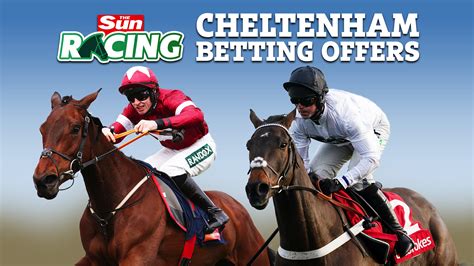 cheltenham betting offers.